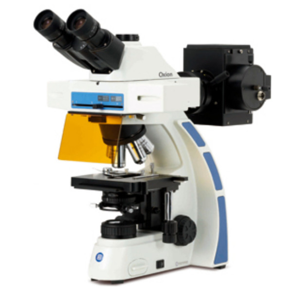 Euromex microscoop OX.3085, trinoculair, Fluarex, olie-immersie