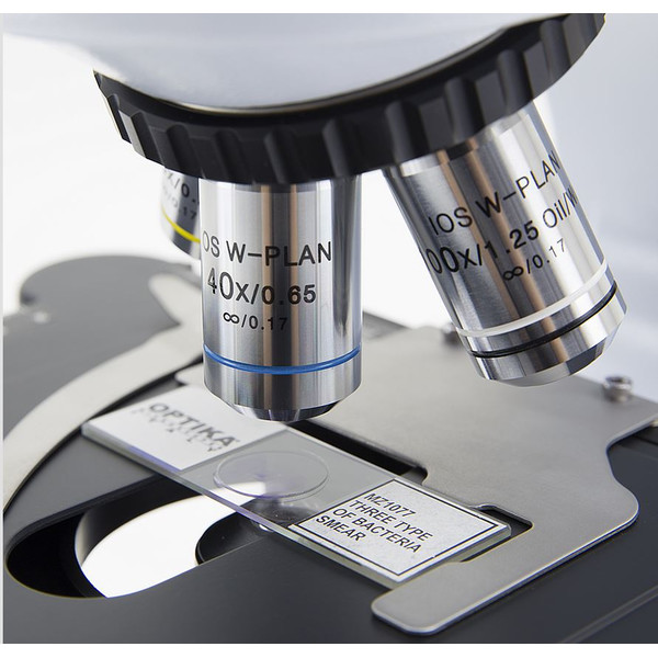 Optika Microscoop B-510BF, brightfield, trino, W-PLAN IOS, 40x-1000x, EU
