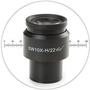 Euromex Oculair meten 10x/22mm,  micrometer, Ø: 30mm, DX.6210-M (Delphi-X)