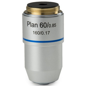 Euromex Objectief S100x/1,25 plan, veer, olie, DIN, BB.8800 (BioBlue.lab)