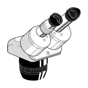 Euromex Stereo zoom microscoop Head EE.1523, binocular