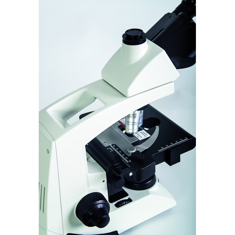 Hund Microscoop Medicus PH Plan, trino, 100x-1000x