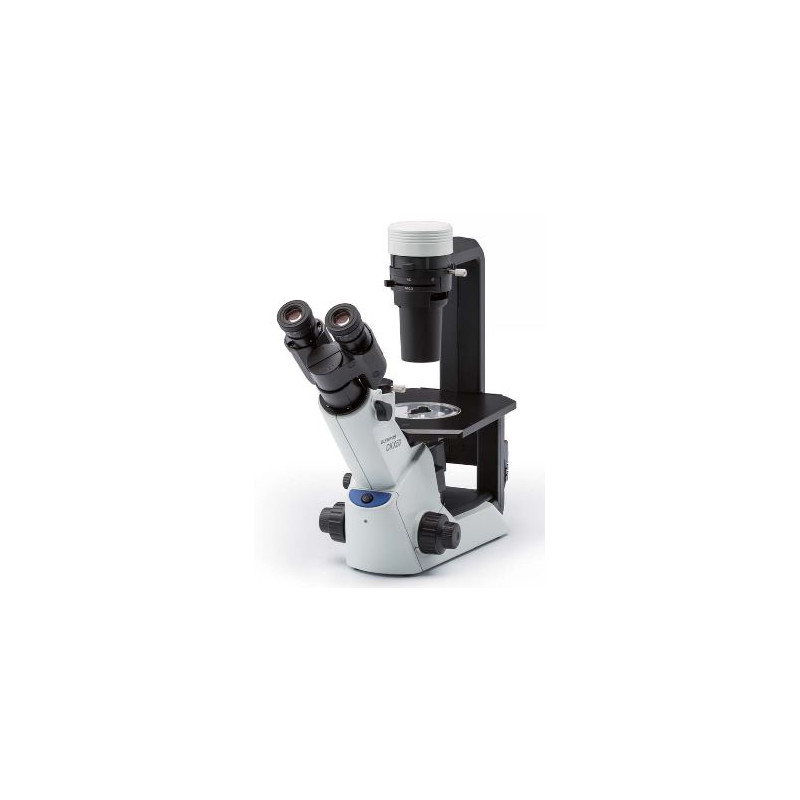 Evident Olympus Omgekeerde microscoop Olympus CKX53 Hellfeld V1, trino, 40x, 100x,