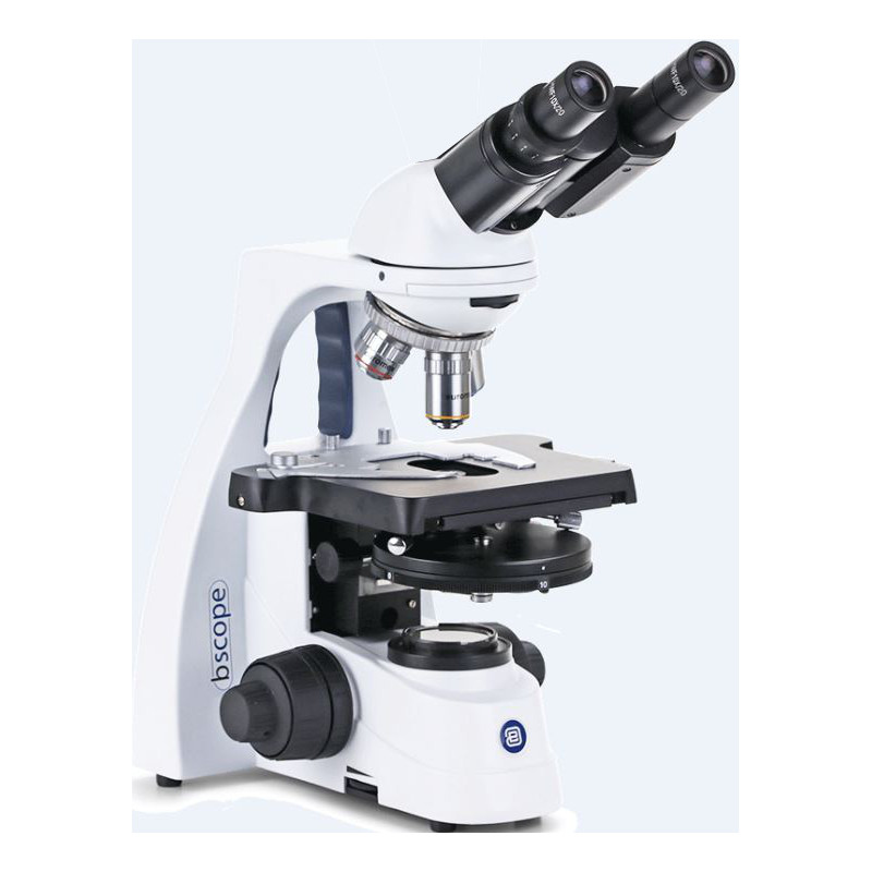 Euromex Microscoop BS.1152-EPLPH, bino, 40x-1000x
