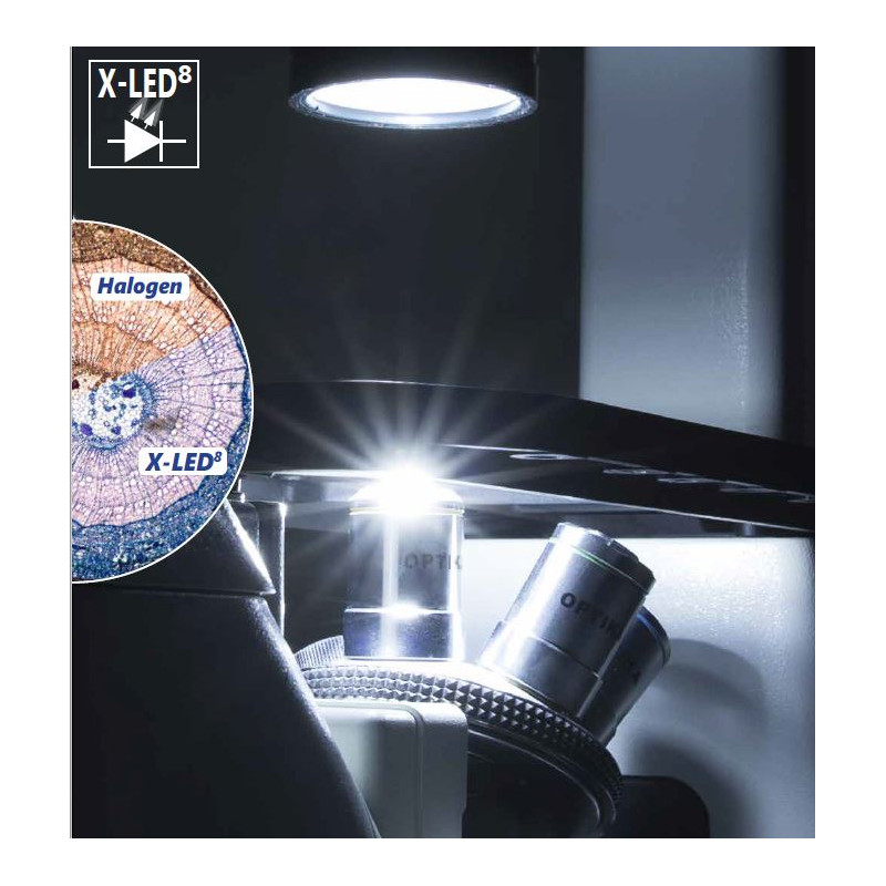 Optika Omgekeerde microscoop Mikroskop IM-3F-EU, trino, invers, phase, FL-HBO, B&G Filter, IOS LWD W-PLAN, 40x-400x, EU
